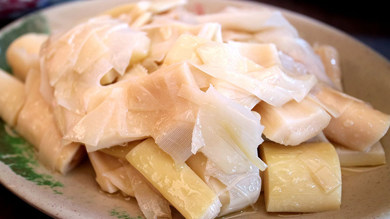 Picture of Bamboo Shoot