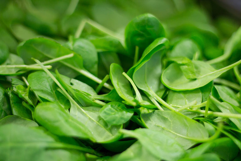 Picture of Spinach