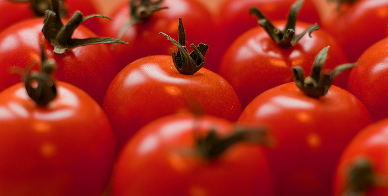Picture of Tomato