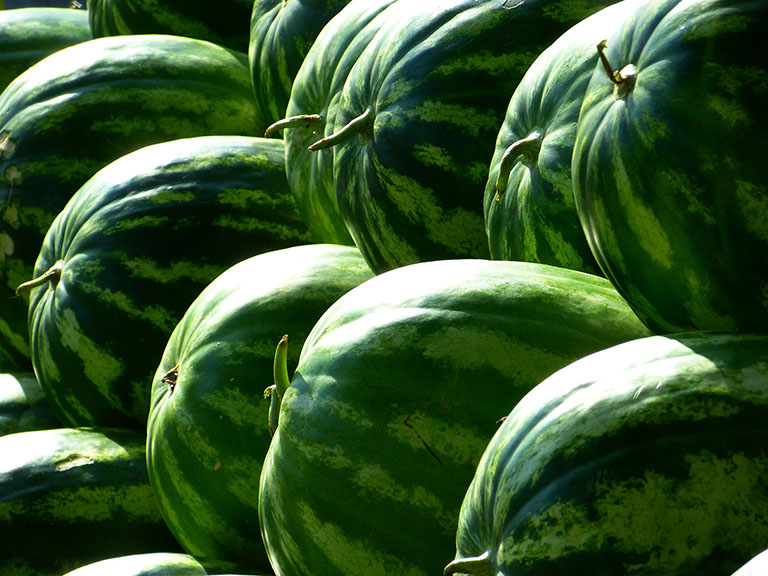 Picture of Watermelon
